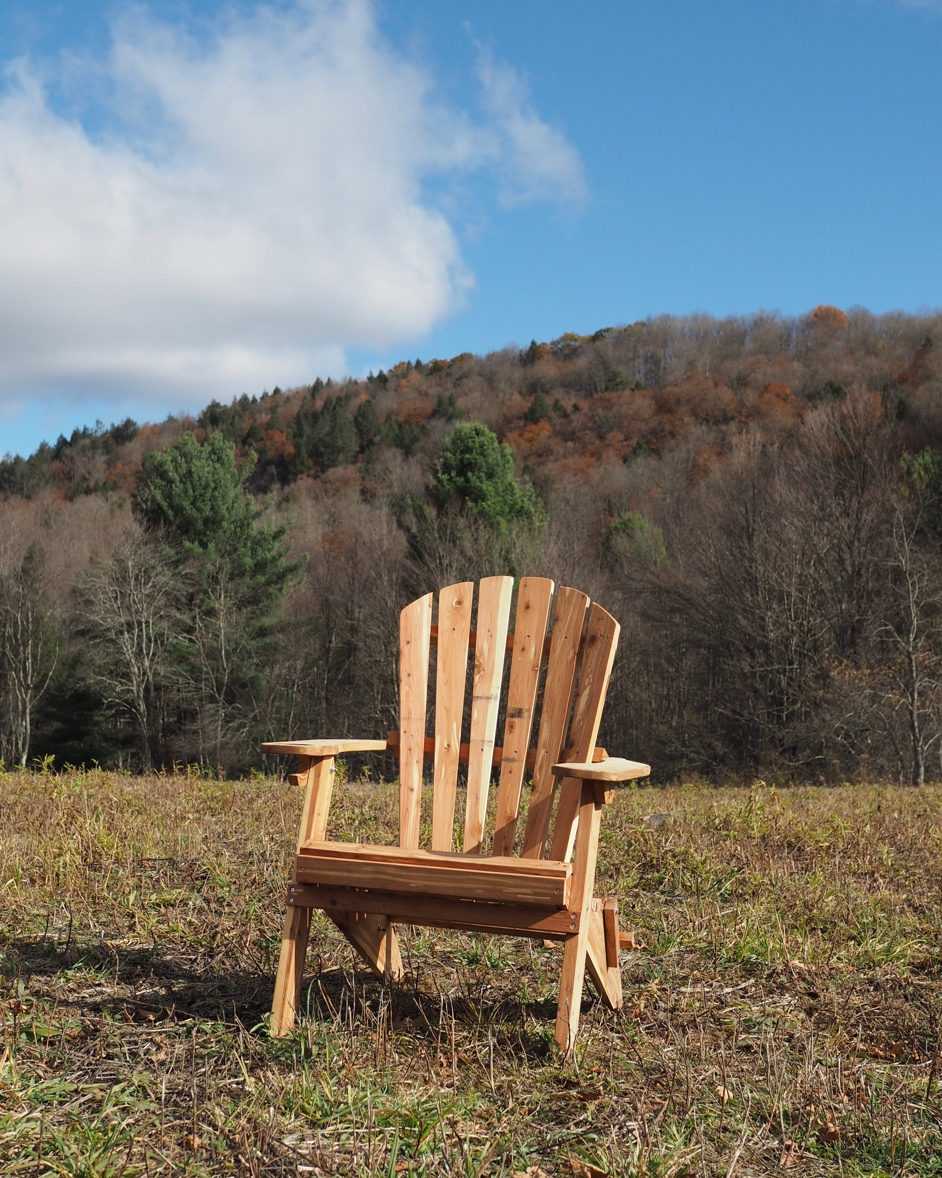 Chair Beneath the Trees