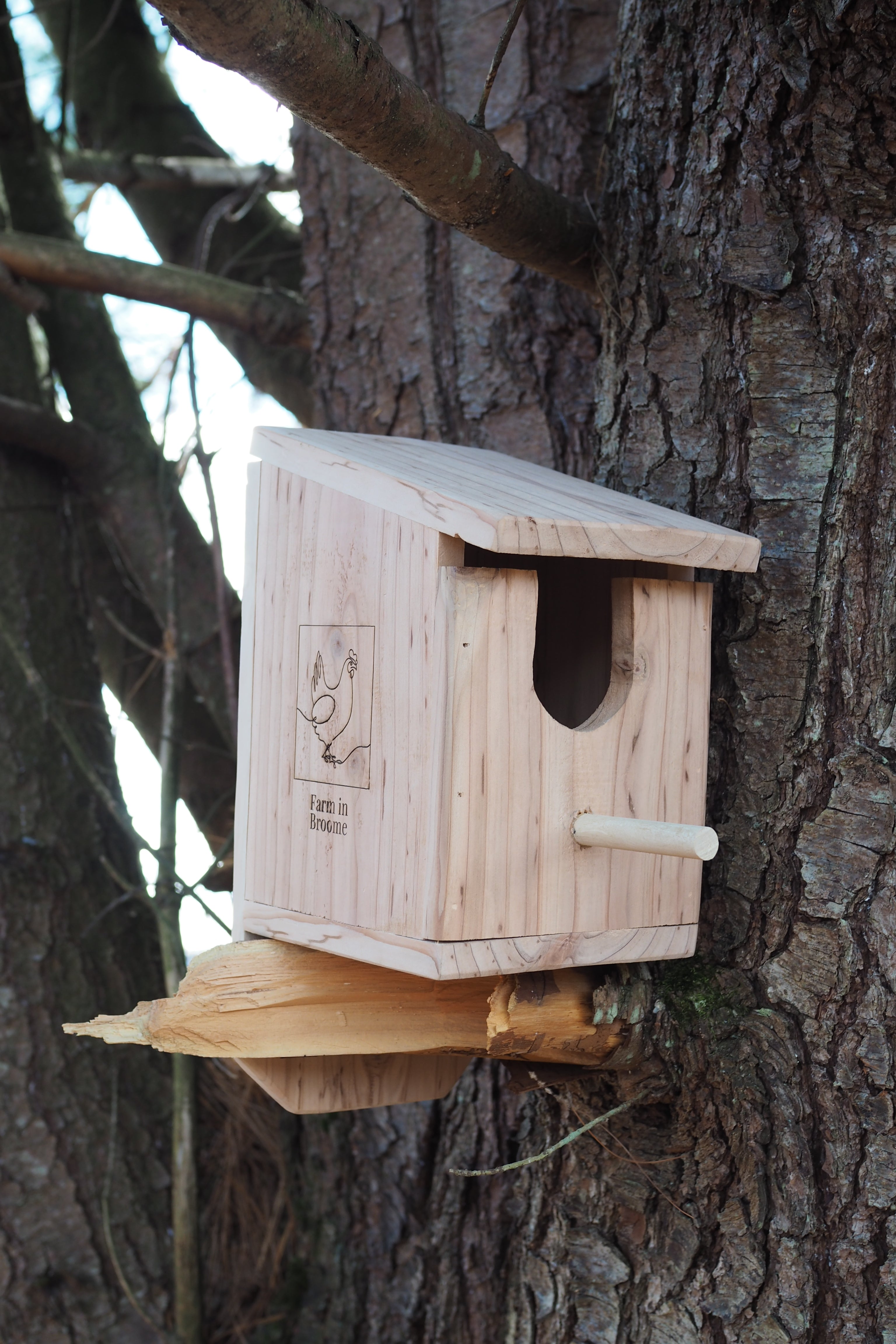 Birdhouse in the Meadow