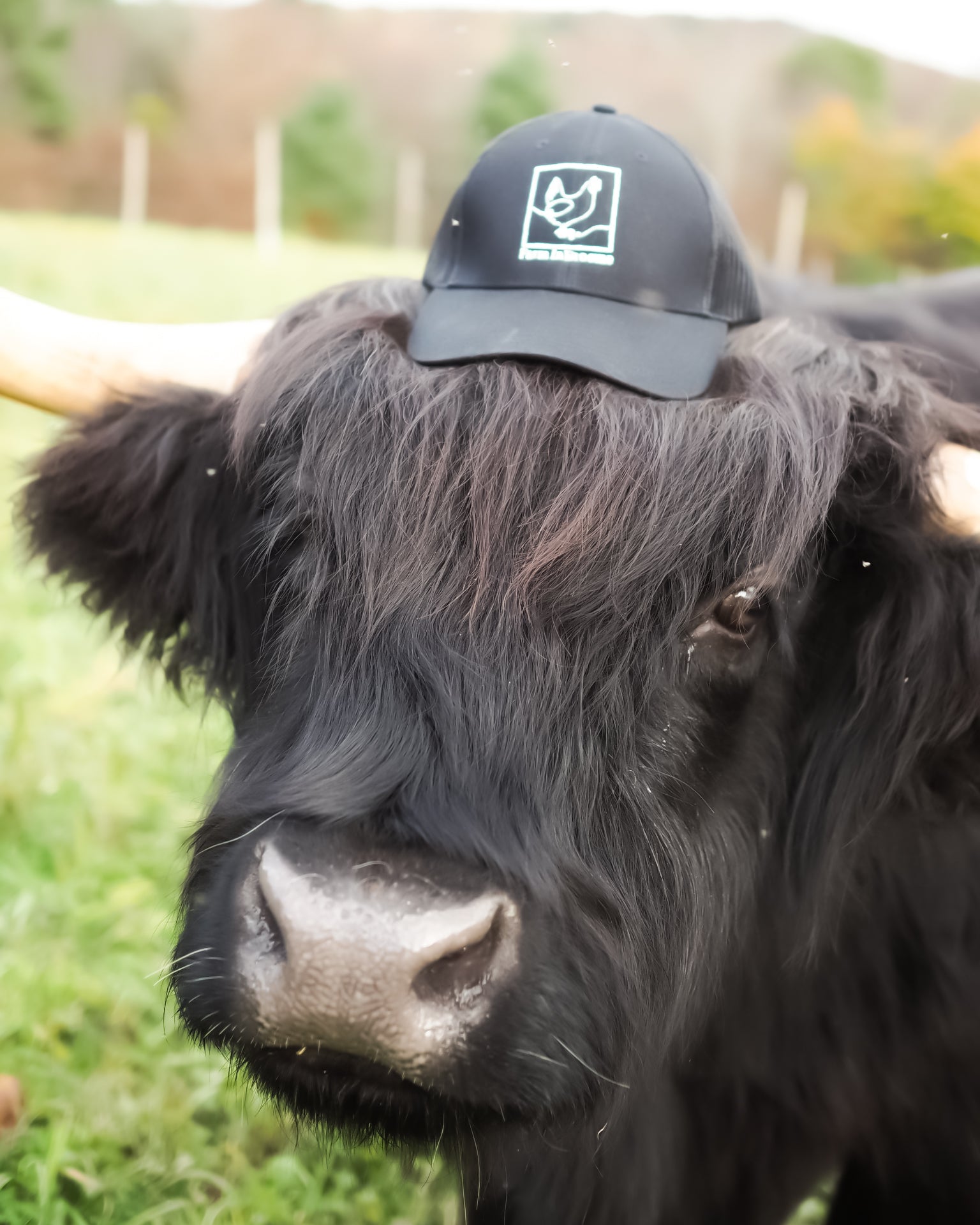 "Rest. Reflect. Grow." Farm Cap
