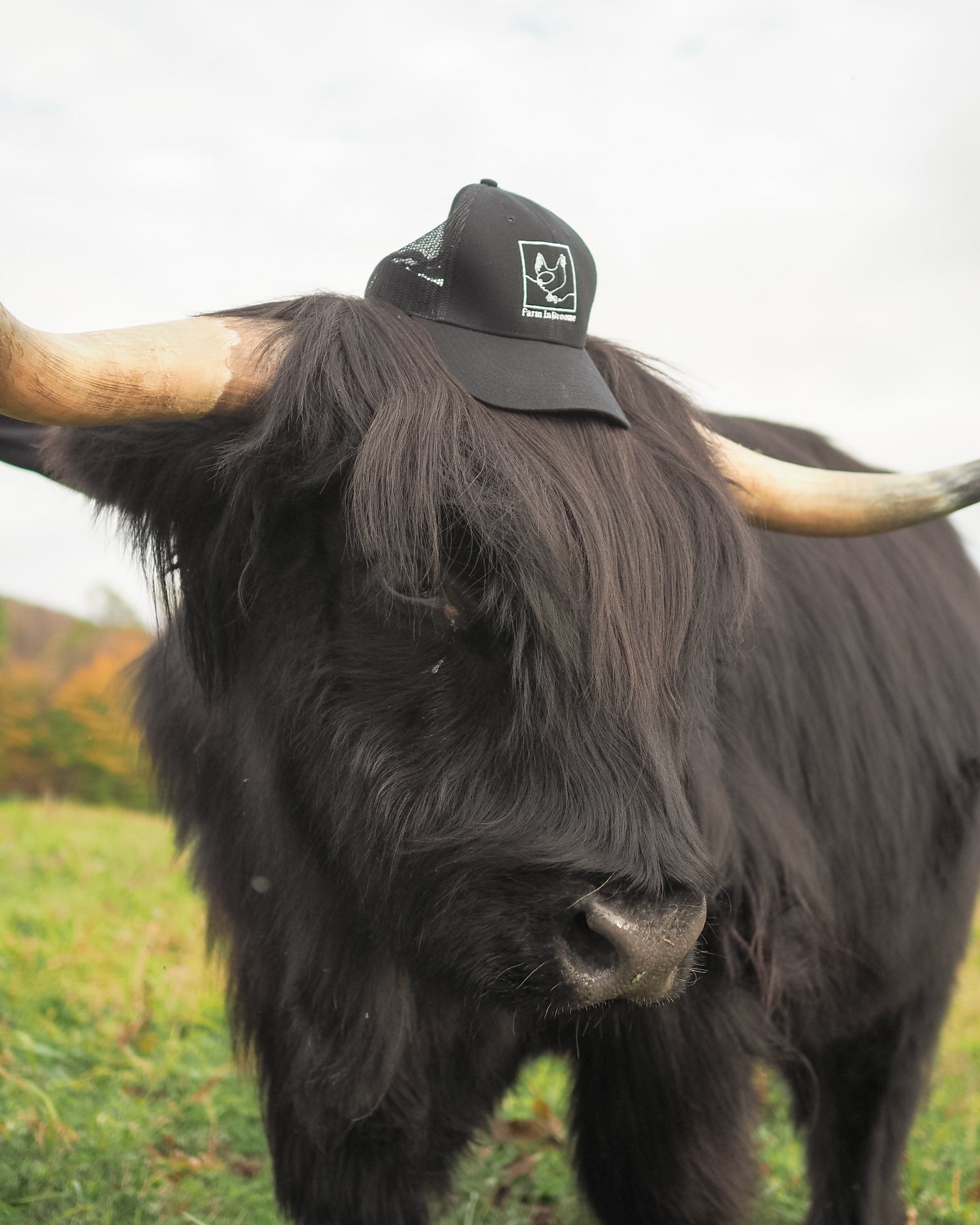 "Rest. Reflect. Grow." Farm Cap